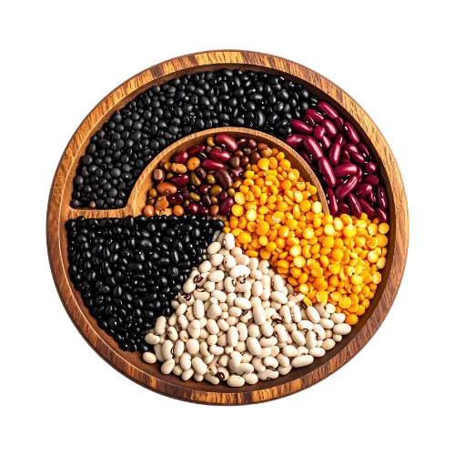Pulses & Legumes