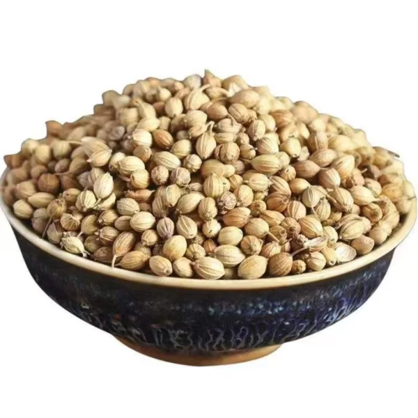 Coriander Seeds Coriander Seeds