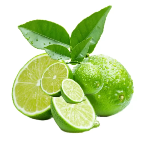 Calamansi / Lime Small Calamansi / Lime Small