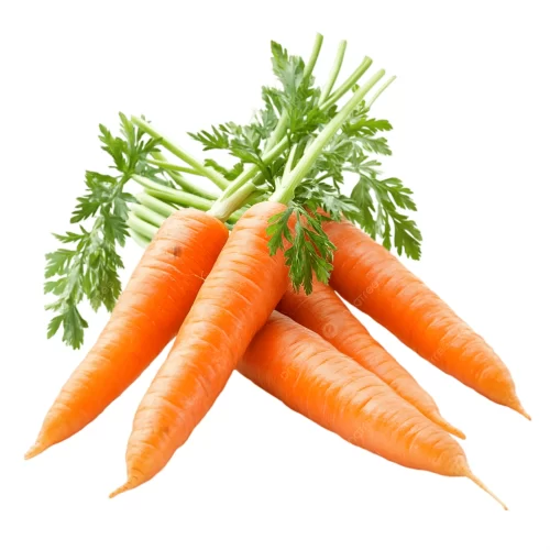 Carrot