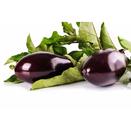 Eggplant (Brinjal)