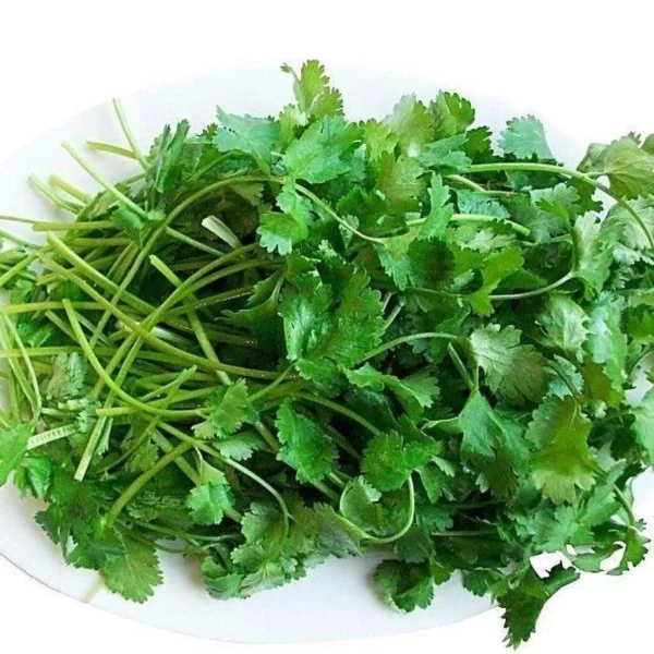 Coriander Leaves