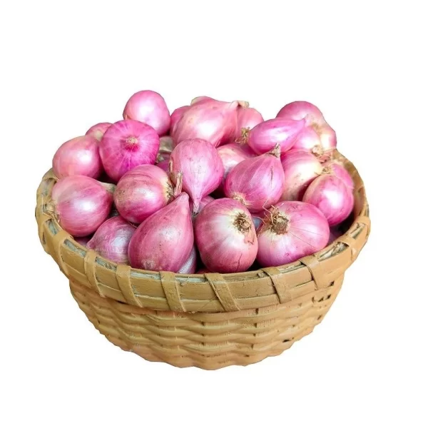 Onion