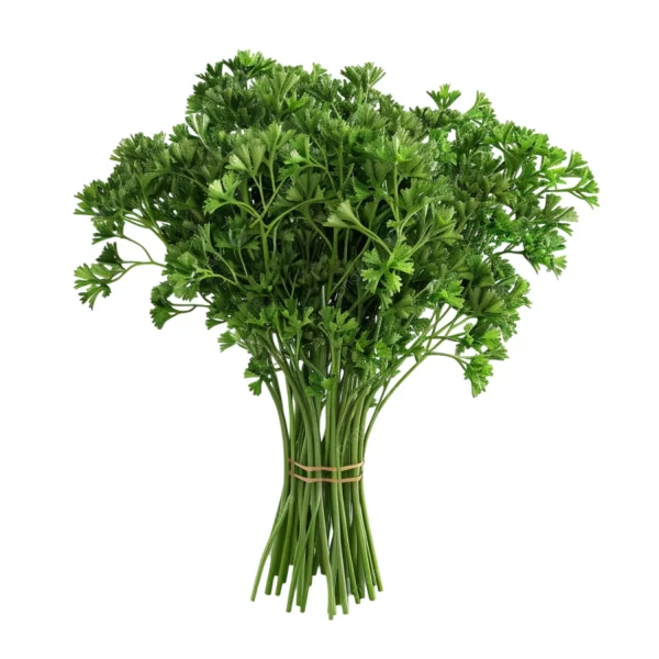 Parsley Parsley