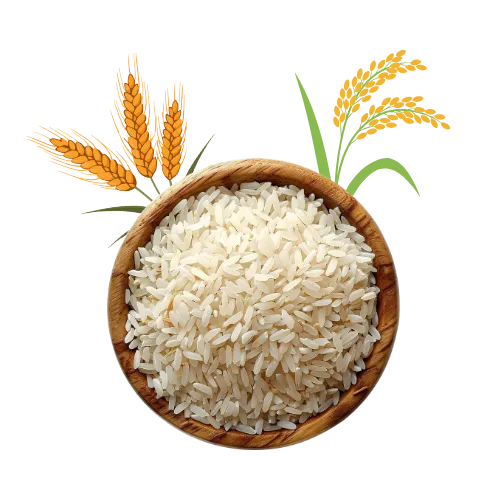 Rice & Grains